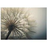  Samoljepljiva foto tapeta - Ephemerality 196x140 | shoptok.hr