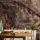  Foto tapeta - Signs of the times - an abstract background with the wrinkled bark of an old tree 200x140 Vodootporna | shoptok.hr