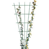 x opora za vrtnice bellissa (150 75 cm, pahljača, zelena) Cene