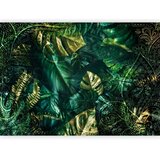  Foto tapeta - Emerald Jungle 343x256 | shoptok.hr