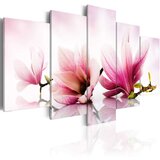  Slika - Magnolias: pink flowers 100x50 Cijene