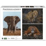 Ambassador Wildlife Eye Contact 3x 1000 Pieces (Donal Boyd) Cijene