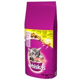 Whiskas Hrana za mačiće Cat Kitten Piletina 14 kg Cene