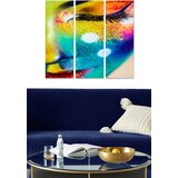 Wallity MDF11841796 multicolor decorative mdf painting (3 pieces) | ePonuda.com