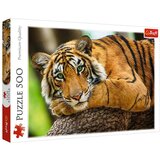 Trefl Sestavljanka Tiger, 500 kosov Cene