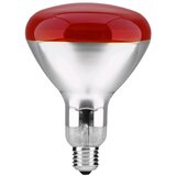 Microcer Sijalica temperaturna 250W infracrvena kvočka Cene