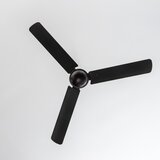  ZEVENTI - Plafonski ventilator TOFINO crni | Eponuda.com