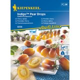 KIEPENKERL Sjeme povrća rajčica Indigo Pear Drops (Solanum lycopersicum, Berba: Srpanj) Cijene