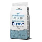 Monge hrana za mačiće - Monoprotein - pastrmka 1.5kg Cene
