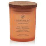 Chesapeake Bay Love + Passion mirisna svijeća 96 g Cijene