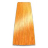 Prosalon Ljubičasti toner COLORART - 100g | Eponuda.ba