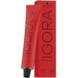 Schwarzkopf Igora Royal Nude Tones boja za kosu 6-46 60 ml | shoptok.hr