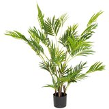 MID.YOU Umetna Rastlina Areca I | Shoptok.si