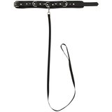 Bad Kitty - Ogrlica s šiljcima i povodcem (crna) | shoptok.hr