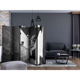  Paravan u 5 dijelova - Narrow Street II [Room Dividers] 225x172 | shoptok.hr