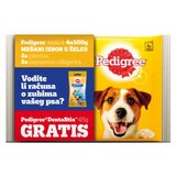 Pedigree hrana za pse pedigre 4-PACK + denta 45G | ePonuda.com