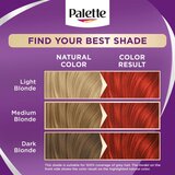 Schwarzkopf Palette Intensive Color Creme trajna boja za kosu nijansa 7-887 (RV6) Scarlet Red 1 kom | shoptok.hr