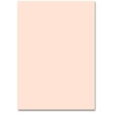  Karton u boji 50x70cm roze | ePonuda.com