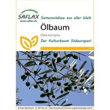 Saflax Oljka Cene