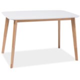  Miza MASS 120x75 | Shoptok.si