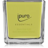 IPURO Dišeča sveča Ipuro ESSENTIALS Lime Light (125 g) Cene