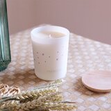 FARIBOLES Grey Alizé Tiaré dišeča sveča 185 g | Shoptok.si