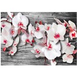  Tapeta - Callous orchids 250x175 | shoptok.hr