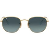 Ray-ban Hexagonal Flat Lenses RB3548N 91233M S (48) Zlata/Modra Cene