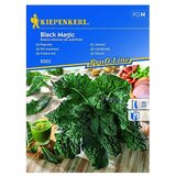 KIEPENKERL Profi-Line Zelenjavna semena ohrovta Black Magic (Brasica oleracea var. palmifolia, Čas žetve: Junij) | Shoptok.si