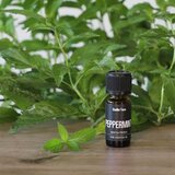 Stadler_Form Peppermint eterično olje 10 ml | Shoptok.si