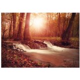  Samoljepljiva foto tapeta - Autumn Dreaminess 147x105 | shoptok.hr
