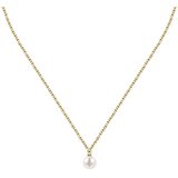 Karl Lagerfeld KLAYR18 | Shoptok.si
