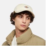 Dickies HARDWICK Bež | shoptok.hr