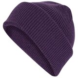Adidas Kapa mt beanie U Cene