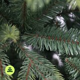 Můj Stromeček Umetna jelka višina 180 cm Himalaya Spruce – | Shoptok.si