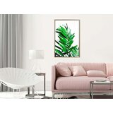  Poster - Emerald Palm 30x45 | shoptok.hr