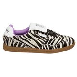 Steve Madden zebraste ženske patike cene
