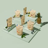 NUTRIVERSUM vegan pro protein vanila, 500g | ePonuda.com