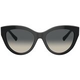 Tiffany Naočare za sunce TF 4220 800171 | ePonuda.com