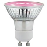 PAULMANN LED žarulja (GU10, 2,4 W, 95 lm, Topla bijela) | shoptok.hr