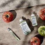 Maison Margiela REPLICA From the Garden toaletna voda za žene 100 ml | shoptok.hr