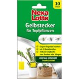 NexaLotte Rumene pasti | Shoptok.si