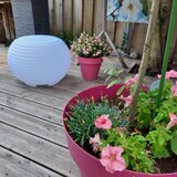 Nikki Amsterdam , The.Pouf, led svjetiljka, zvučnik, sjedalica/stol | shoptok.hr