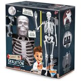 BUKI Skelet ( 104919 ) | Eponuda.com