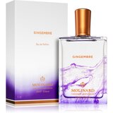 Molinard unisex parfem gingembre 75ml | Eponuda.com