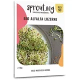 Ekološka lucerna lucerna - 40 g