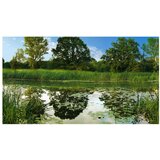  Tapeta XXL - The Magic Pond II 600x280 | shoptok.hr