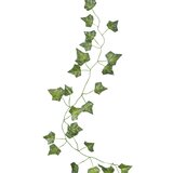 Ginger Ray® dekoracija beautiful botanics Cijene