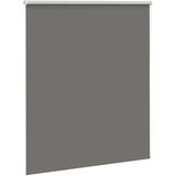 vidaXL Rolo zatemnjena siv 120x150cm tkanina širina 116,6cm poliester | Shoptok.si