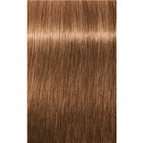 Schwarzkopf igora Royal - 7-65 srednje blond čokoladno zlata, 60 ml | Shoptok.si